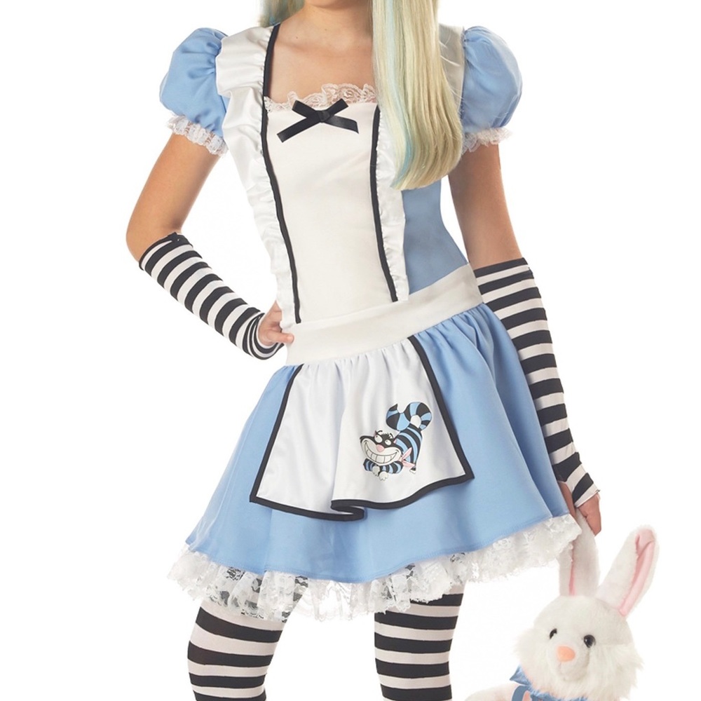 Alice in Wonderland Costume Dress, Halloween Dress, Adorable Dolls Kill Costume